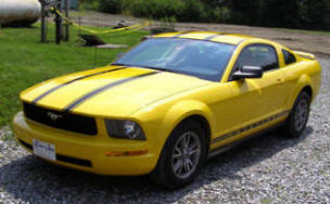 Vehicle Lettering : Sport Striping on Mustang