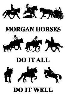 Banners : Vermont Morgan Horse Association