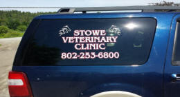 Stowe Veterinary Clinic