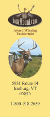 YourMount.com Brochure